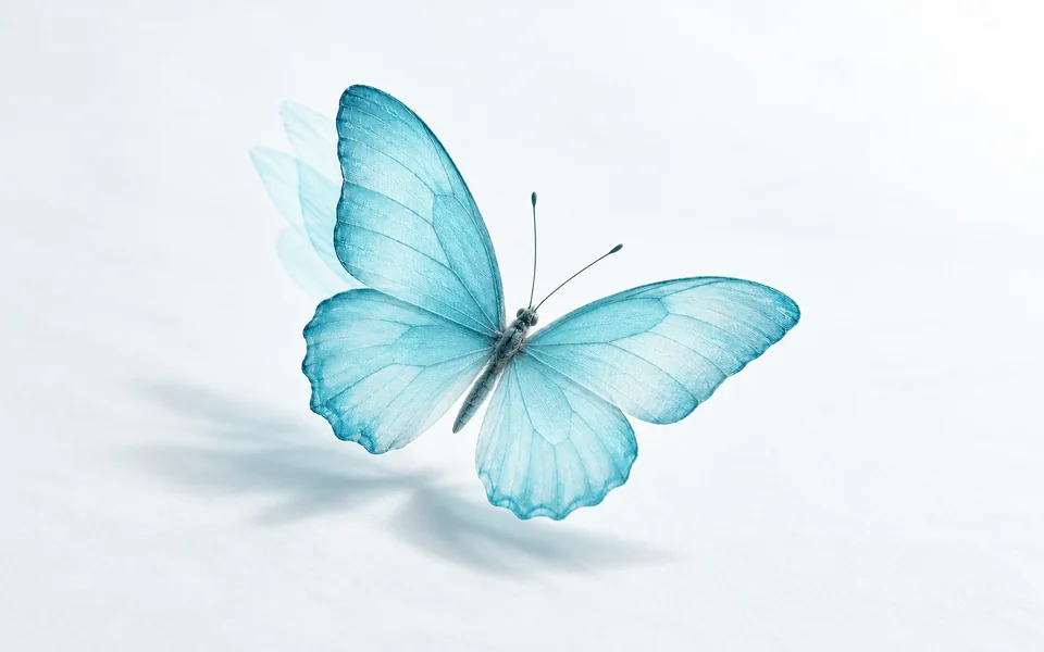 Seedream 5.0 Flash Text to Image preview